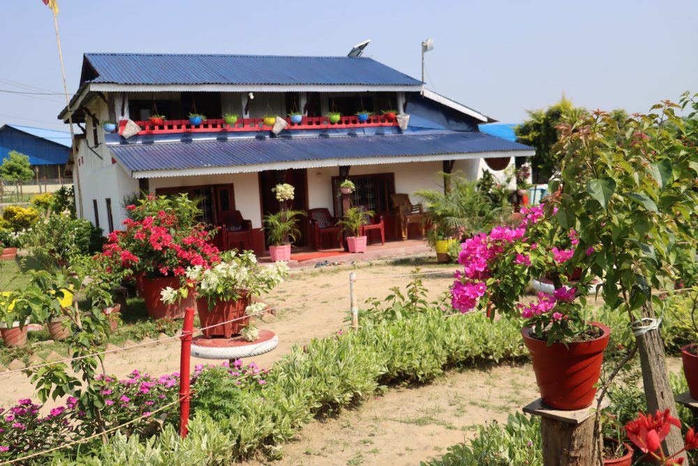 फूलैफूलले सजिएको माडीको अयोध्यामार्ग