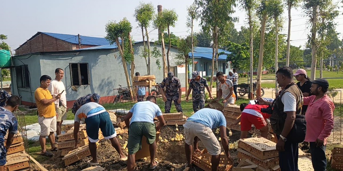 सशस्त्र प्रहरीद्वारा वीरगंजमा कुखुराका चल्ला बरामद