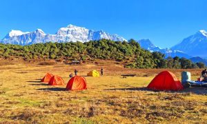 पर्यटक आकर्षणको केन्द्र बन्दै ‘ढोरपाटन जलजला’