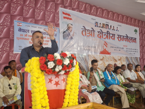 सरकारले संविधान संशोधनको काम तत्काल सुरू गर्नुपर्छ : महामन्त्री थापा