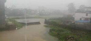 कैलाली र कञ्चनपुरमा भारी वर्षा