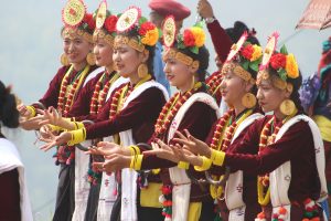 भिमादमा कौरा संरक्षणका लागि प्रतियोगिता आयोजना
