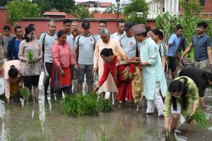 राष्ट्रपति पौडेल धान रोपाइँमा सहभागी (फोटोफिचर)
