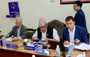 निजी विद्यालय सेवामुलक, लोककल्याणकारी र गैरनाफामुलक बनाएर जाने विषयमा समितिमा सहमति