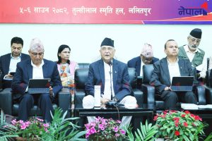 केन्द्रीय कमिटी बैठकमा ओलीले भने- पार्टी विभाजन गर्न खोज्ने तत्वसँग जोगिनू