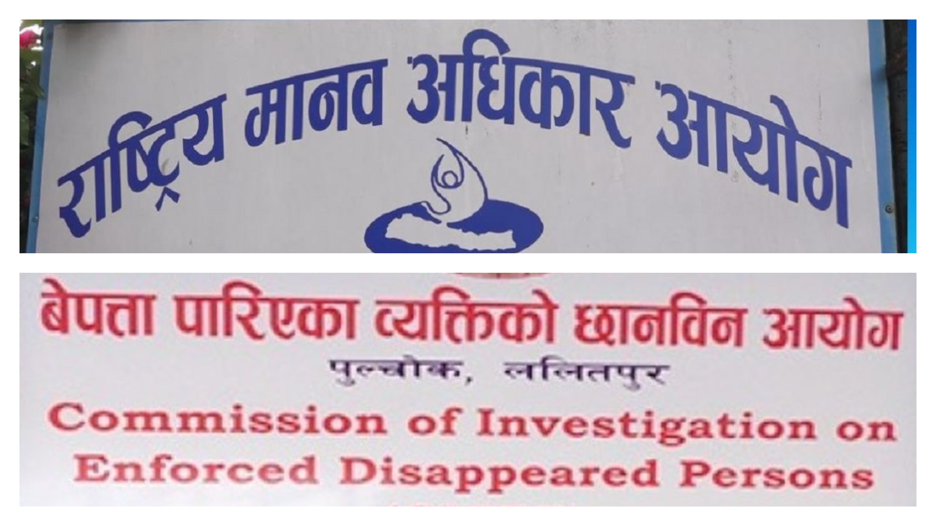 दुई आयोगबिच सहयोग, समन्वय र सहकार्य हुने