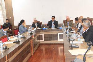 नेपाल भित्रिने वस्तुहरुमा ‘नेपाल गुणस्तर’ अनिवार्य लागु गरिने: मन्त्री भण्डारी