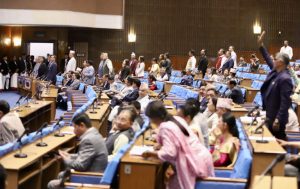 प्रतिनिधिसभा बैठक: पानी जहाज विधेयक सर्वसम्मतिले स्वीकृत