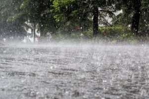 देशका विभिन्न स्थानमा भारी वर्षा मापन : कास्कीको लुम्लेमा एक सय ५१ मिलीमिटर वर्षा