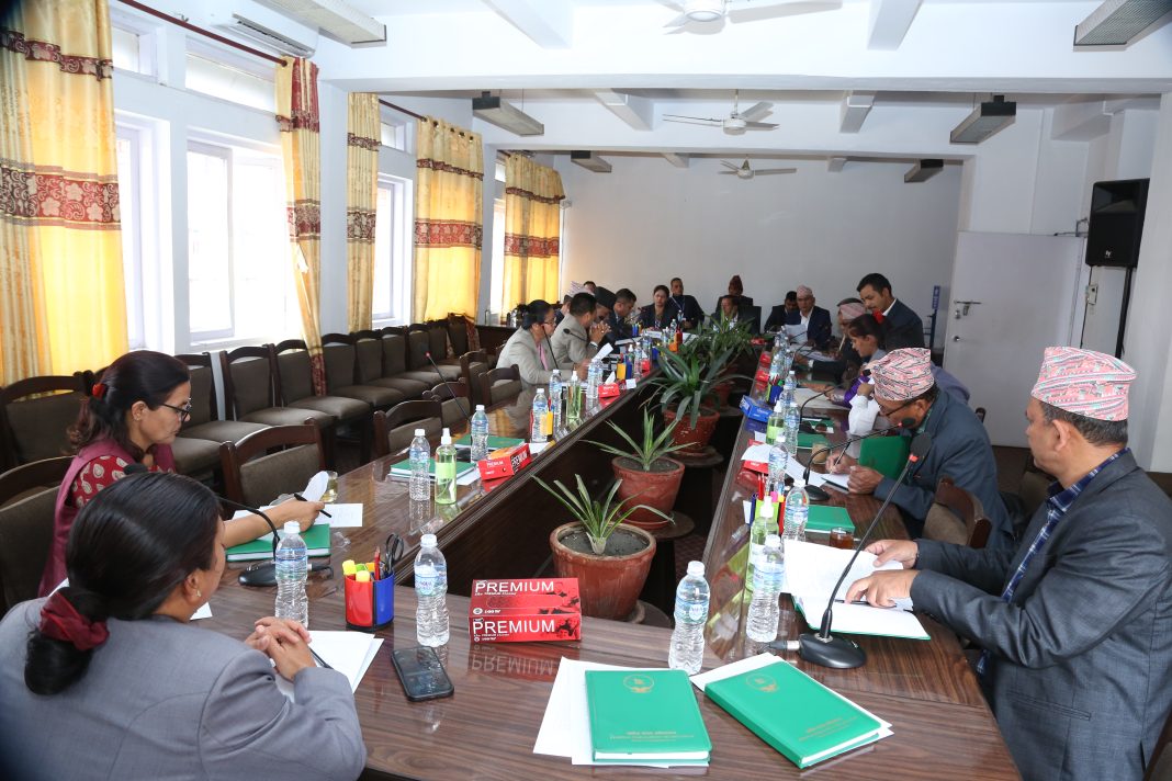 आज दुई संसदीय समितिको बैठक बस्दै, यस्ता छन् कार्यसूची