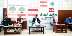 संविधान संशोधन गर्न कार्यदल गठन गर्ने कांग्रेसको निर्णय