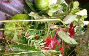 लोप हुँदै साउने सङ्क्रान्तिमा लुतो फाल्ने संस्कृति