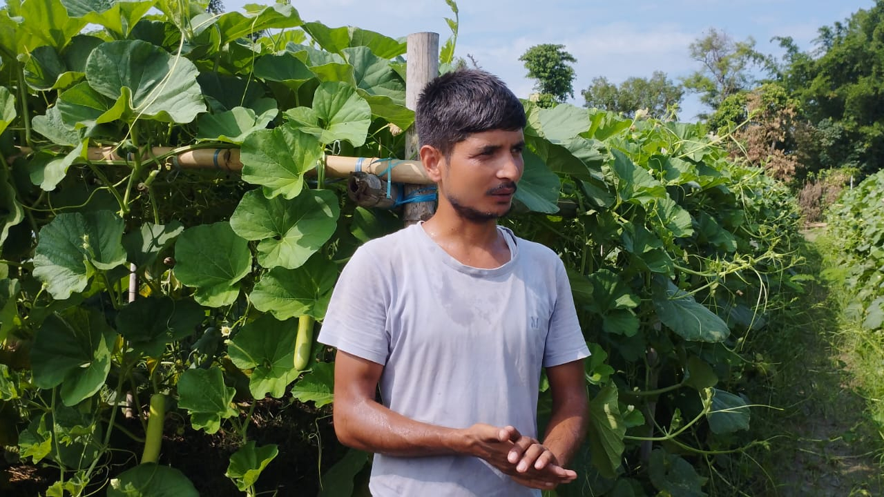 मौसमी सागसब्जी बेचेर मासिक दुई लाख आर्जन