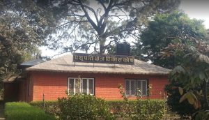 पशुपति क्षेत्र विकास कोषको सदस्य सचिवमा जोशी