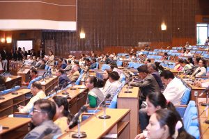 विपद प्रभावितलाई  तत्काल उद्धार र राहत सामग्री दिन सांसदहरुको माग