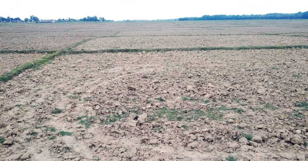मधेश प्रदेश सुक्खाग्रस्त क्षेत्र घोषणा