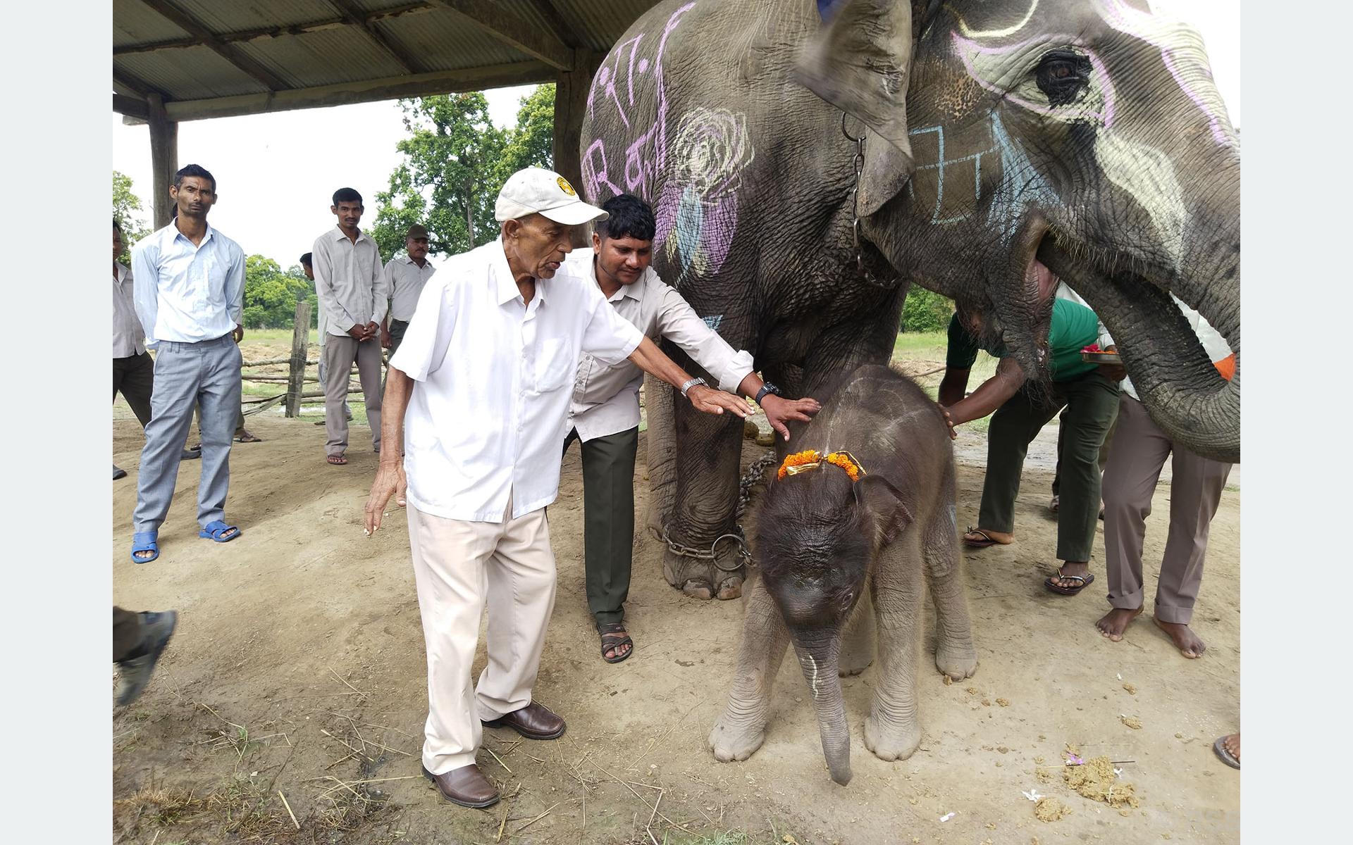 पूर्वसंरक्षण अधिकृत रामप्रित यादवको सम्मानमा छावाको नाम