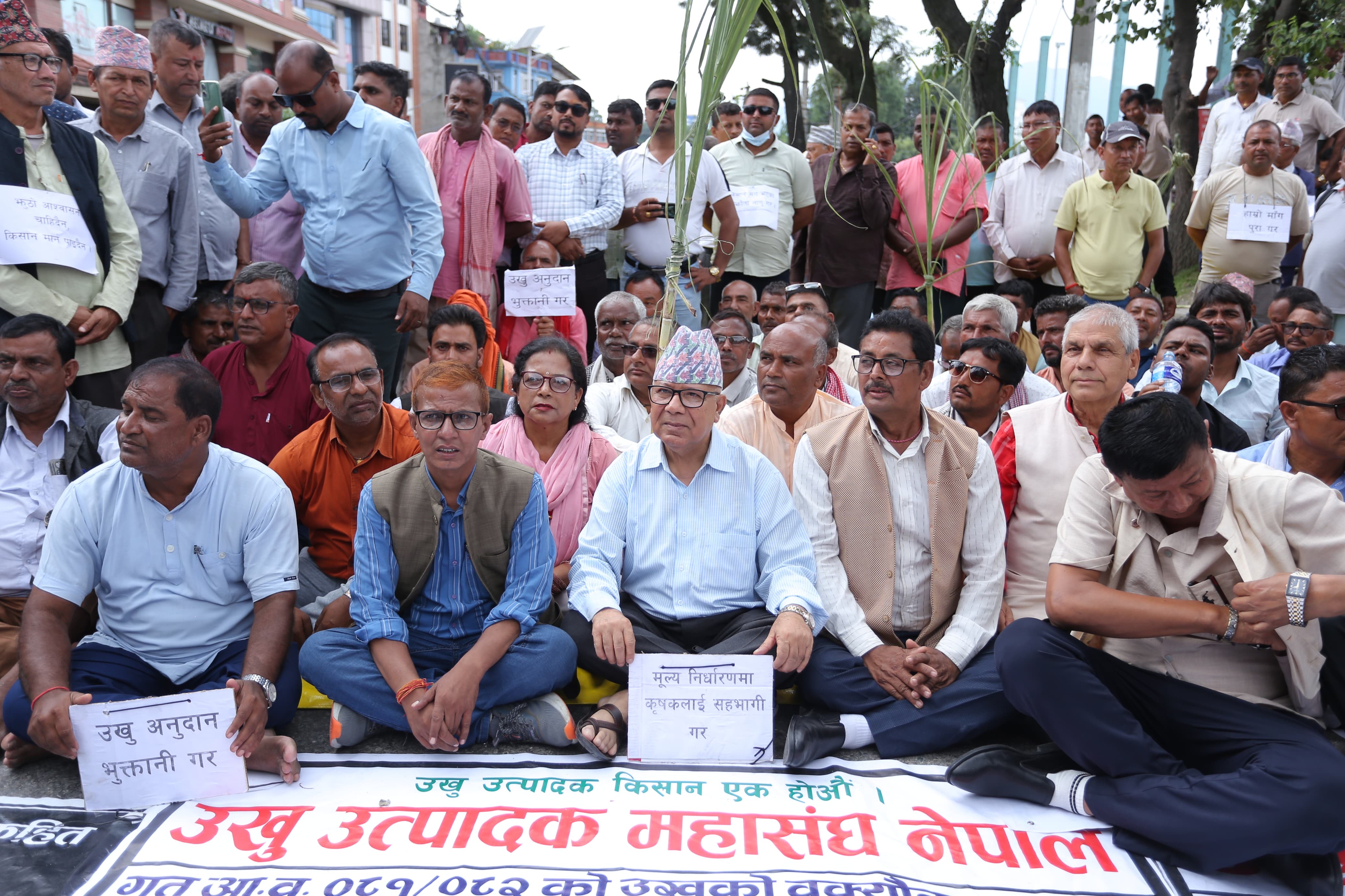 उखु किसानलाई अनुदान निकासा, बिहीबारसम्म किसानको खातामा रकम जाने