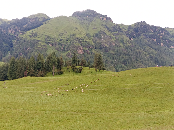 जुम्लाको धिमीचौर आन्तरिक पर्यटकीय गन्तव्य बन्दै