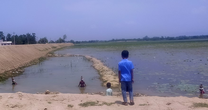संरक्षण नहुँदा पुरिँदै राजी ताल