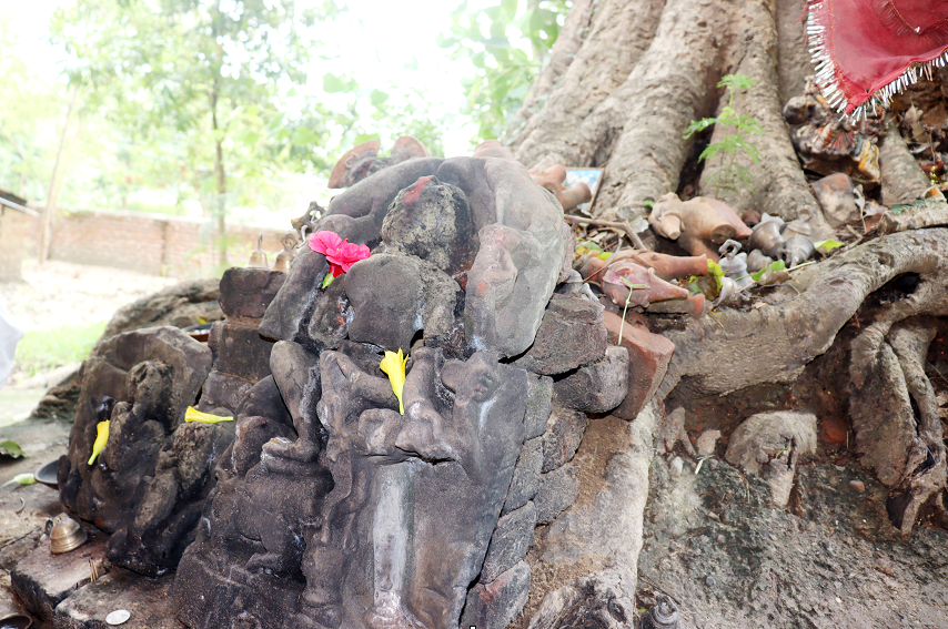 ओझेलमा बुद्धको मावली, मर्चवार नै ऐतिहासिक ‘देवदह’