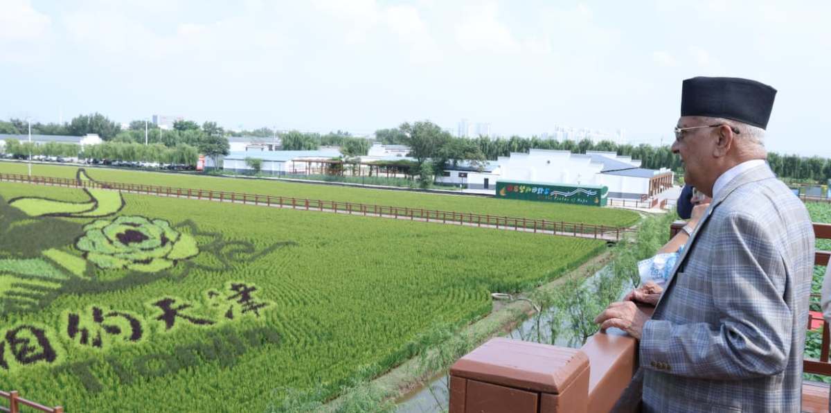 प्रधानमन्त्री ओलीले गरे धान उत्पादन विशेष क्षेत्रको अवलोकन