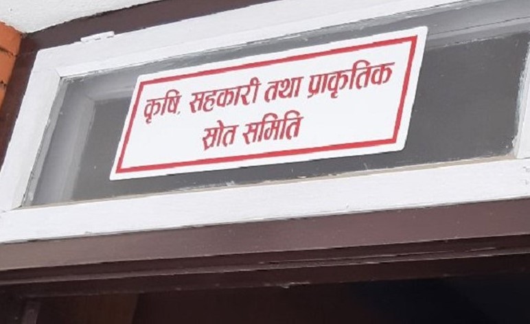 विद्युत् आयोजनामा सहजकर्ताको भूमिका निर्वाह गर्न वन मन्त्रालयलाई निर्देशन