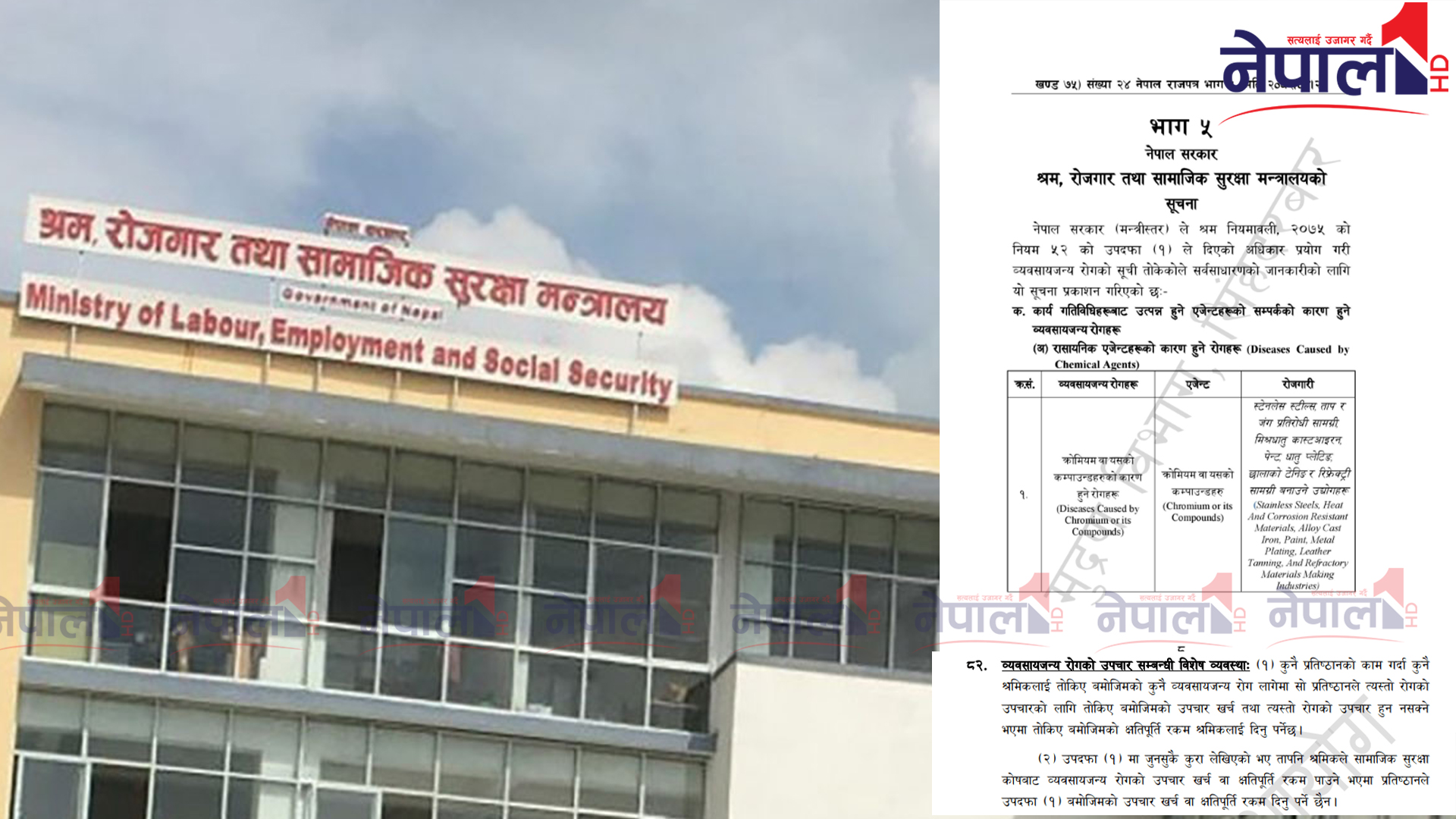 सरकारले पहिलो पटक दियो ‘व्यवसायजन्य रोग’ लाई कानुनी मान्यता