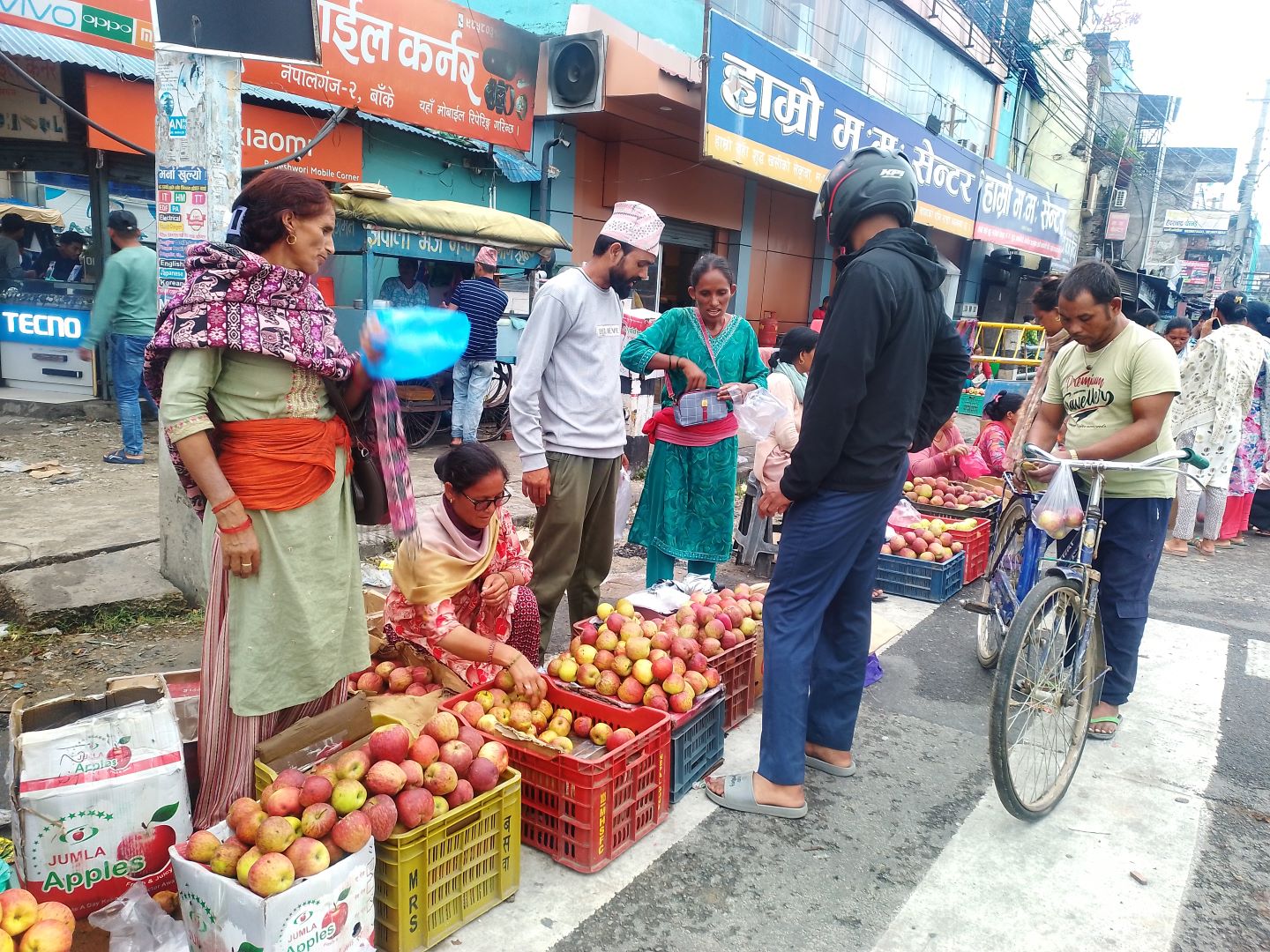 उपभोक्ताको रुचिमा: कर्णालीको स्याउ