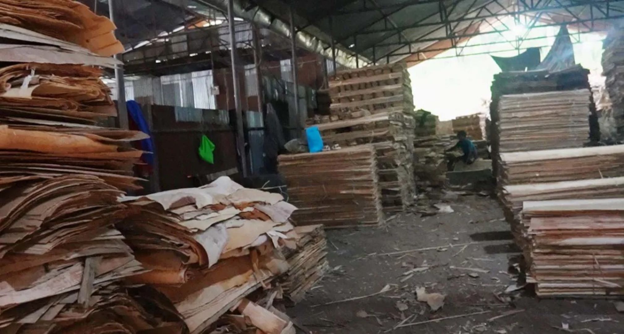 पर्वतमा रु दश करोडको लागतमा प्लाई उद्योग सञ्चालन