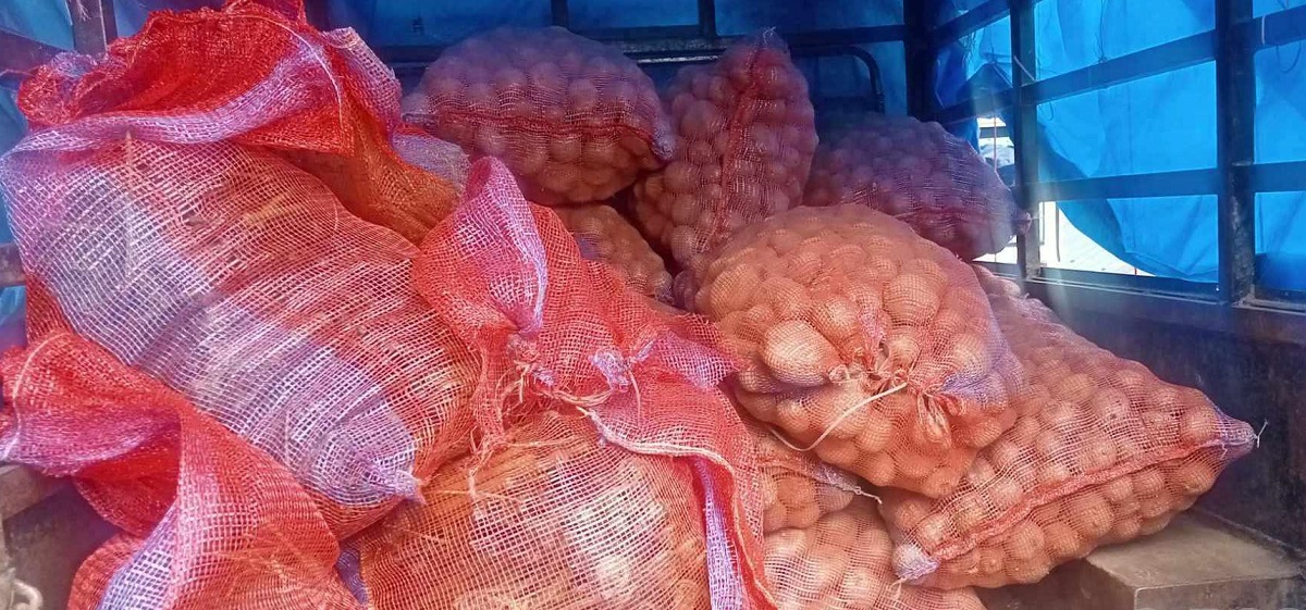 भोजपुरका किसानको आम्दानीको स्रोत अर्ग्यानिक आलु
