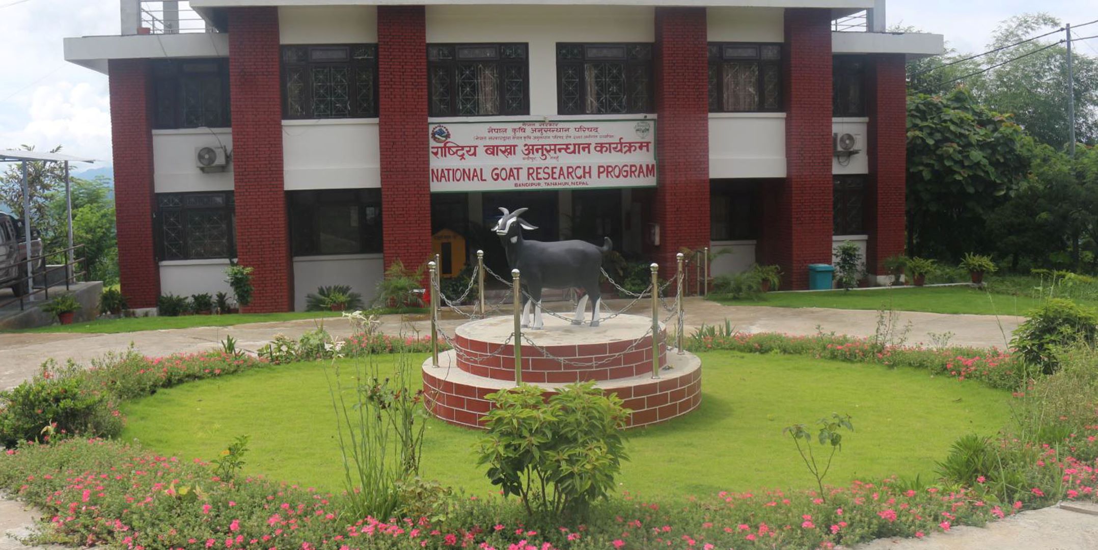 लक्ष्यभन्दा बढी बाख्रा उत्पादन गर्दै राष्ट्रिय बाख्रा अनुसन्धान केन्द्र