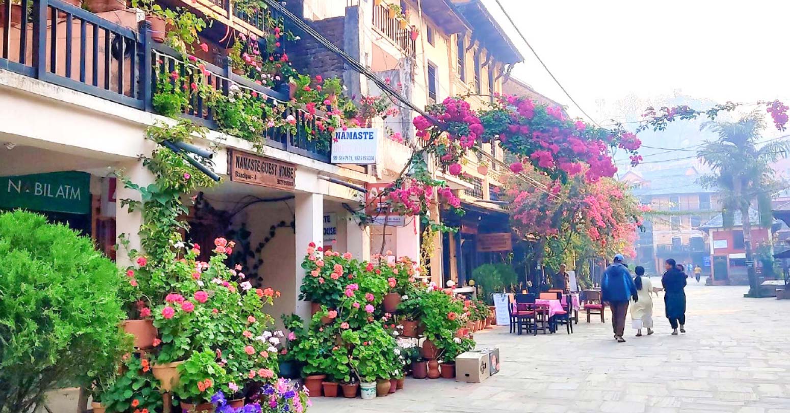 दसैंमा सुनसान बन्दीपुर, आन्दोलनपछि घटे पर्यटक