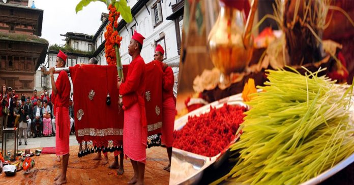 आज नवरात्रिको सातौं दिन, घर-घरमा फूलपाती भित्र्याइँदै