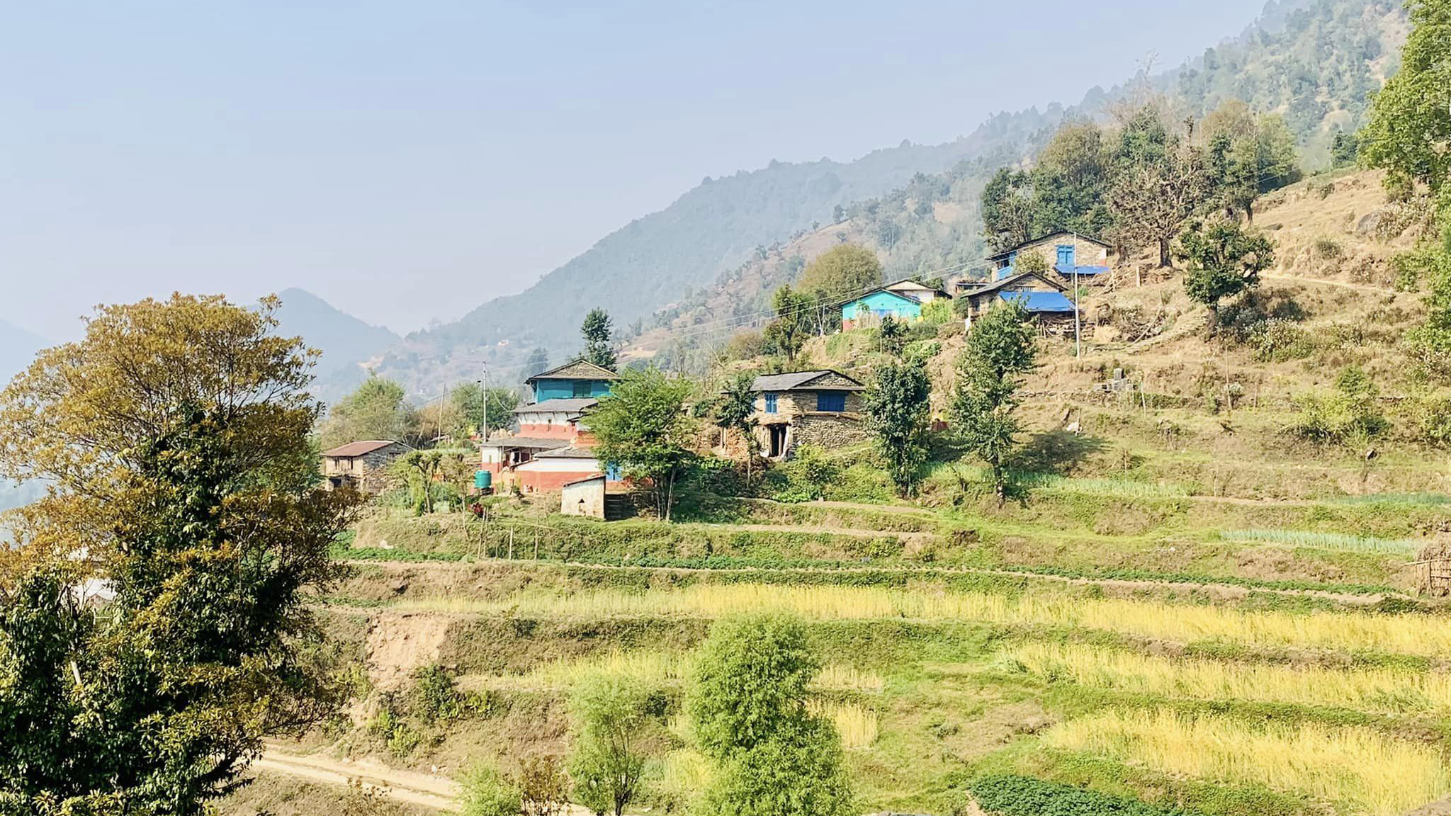 भूमिहीन दलित र सुकुम्वासी भन्दा अव्यवस्थित बसोबासी १३ गुणा बढी