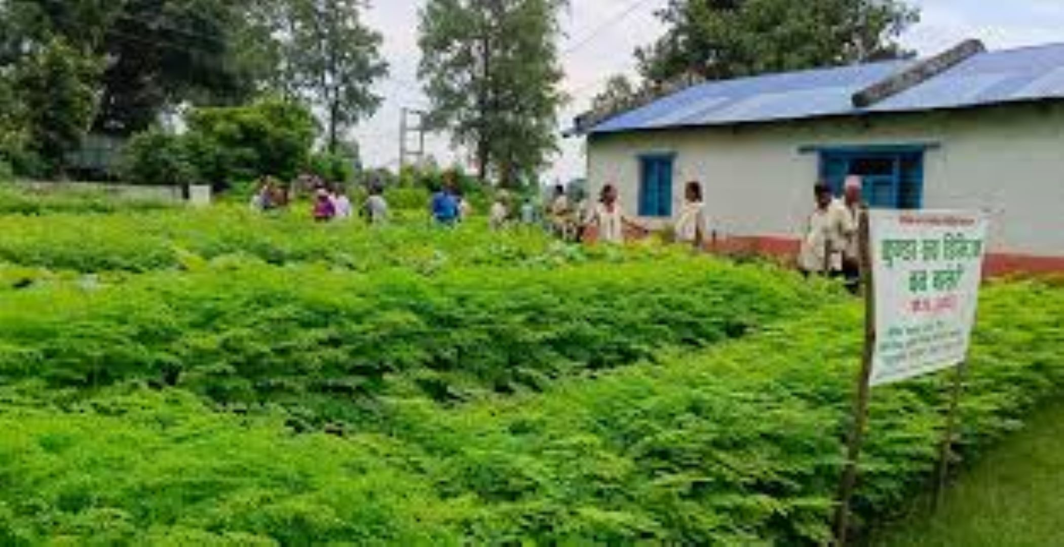 कञ्चनपुरमा चाडपर्वमा वन सुरक्षा गर्न द्रुत प्रतिकार्य टोली परिचालन