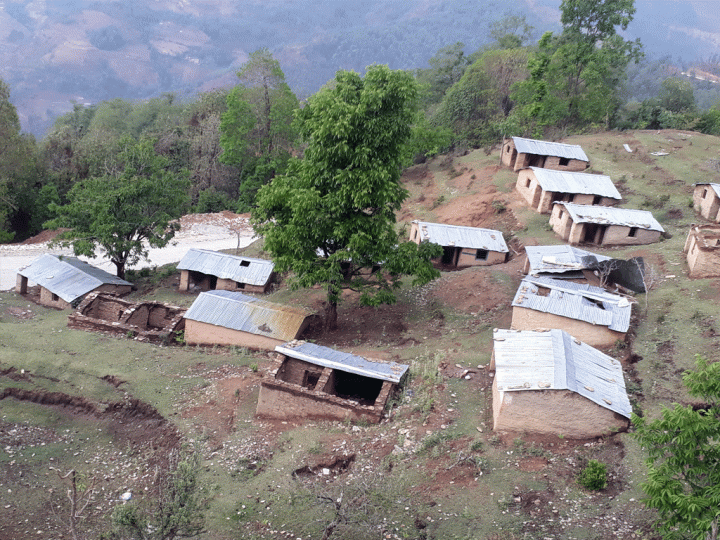 पुनःस्थापनाका पर्खाइमा मुक्त हलिया