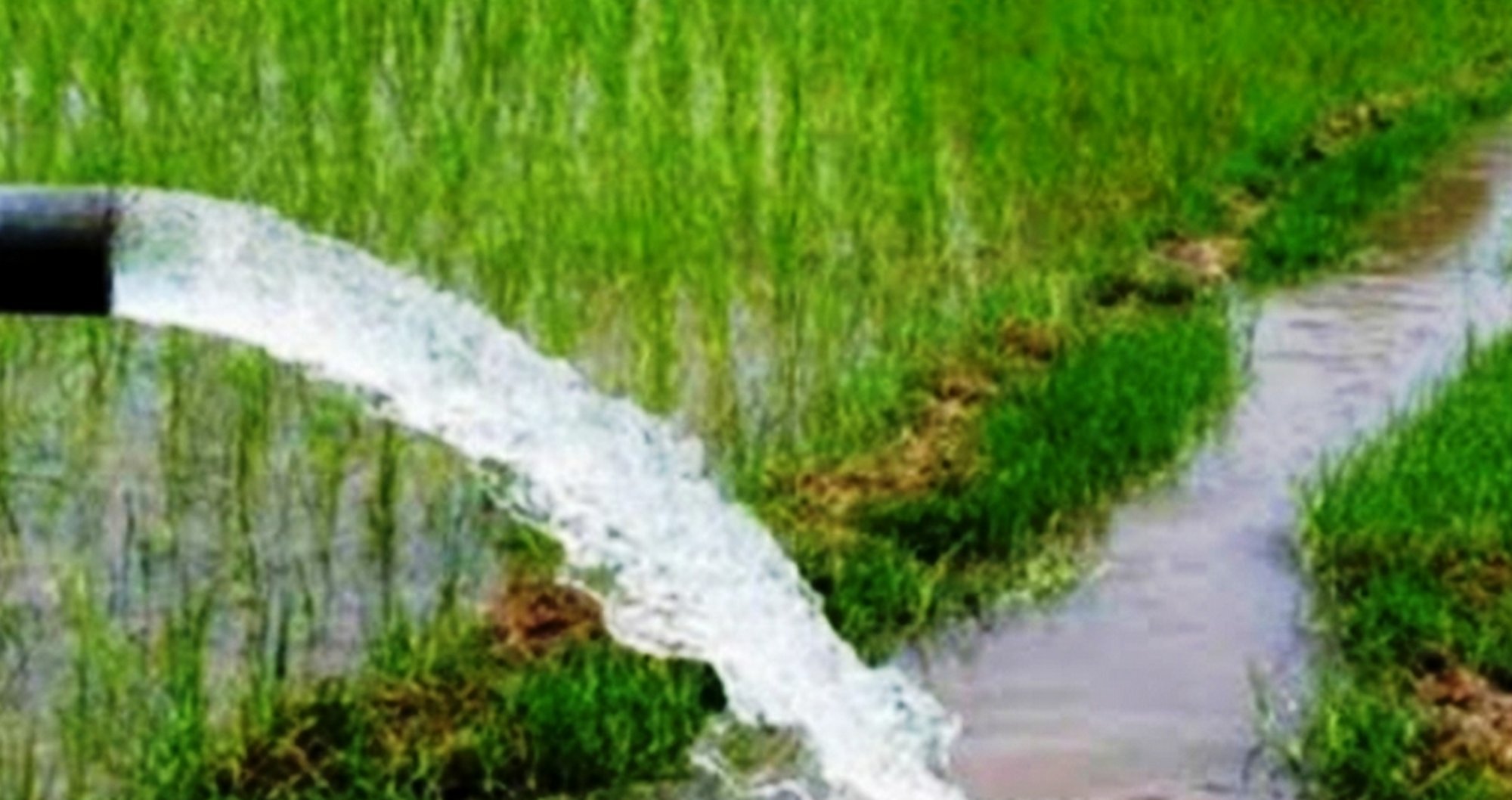 चार हेक्टर क्षेत्रफलमा थप सिँचाइ सुविधा विस्तार
