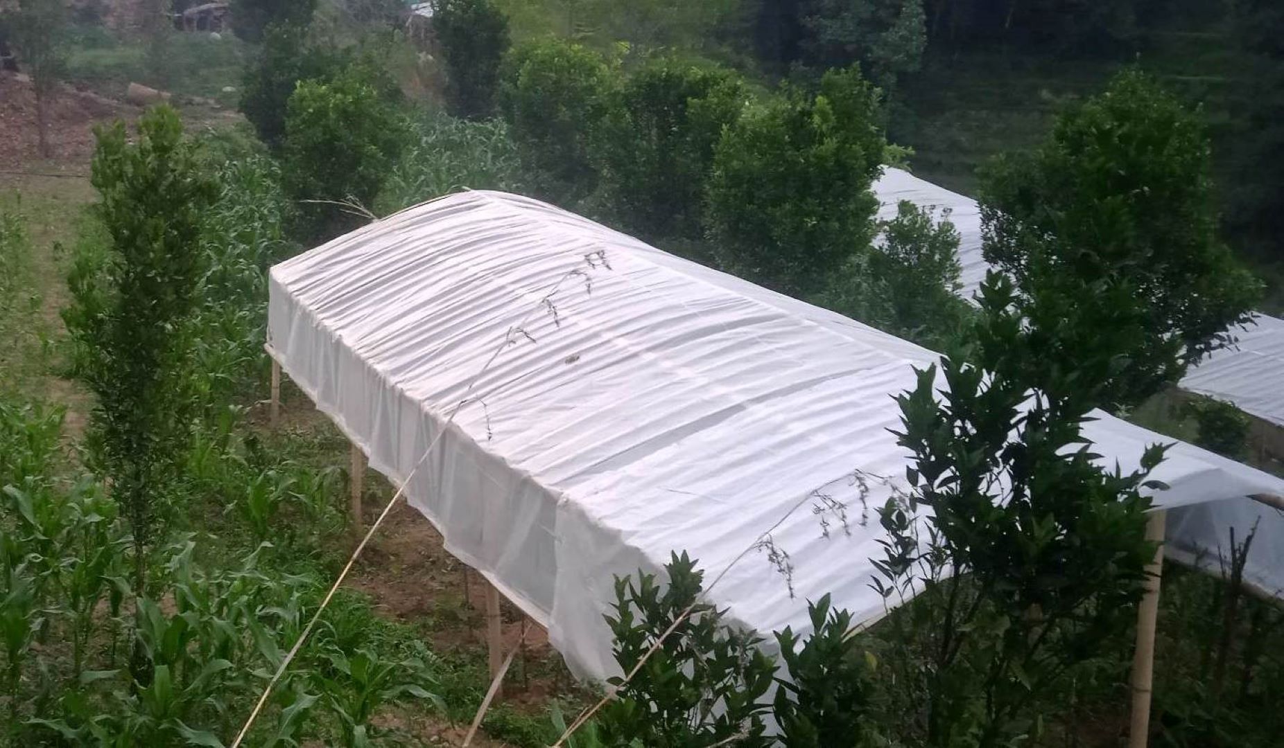 कृषिमा कम भविष्य देख्नेका लागि।।।