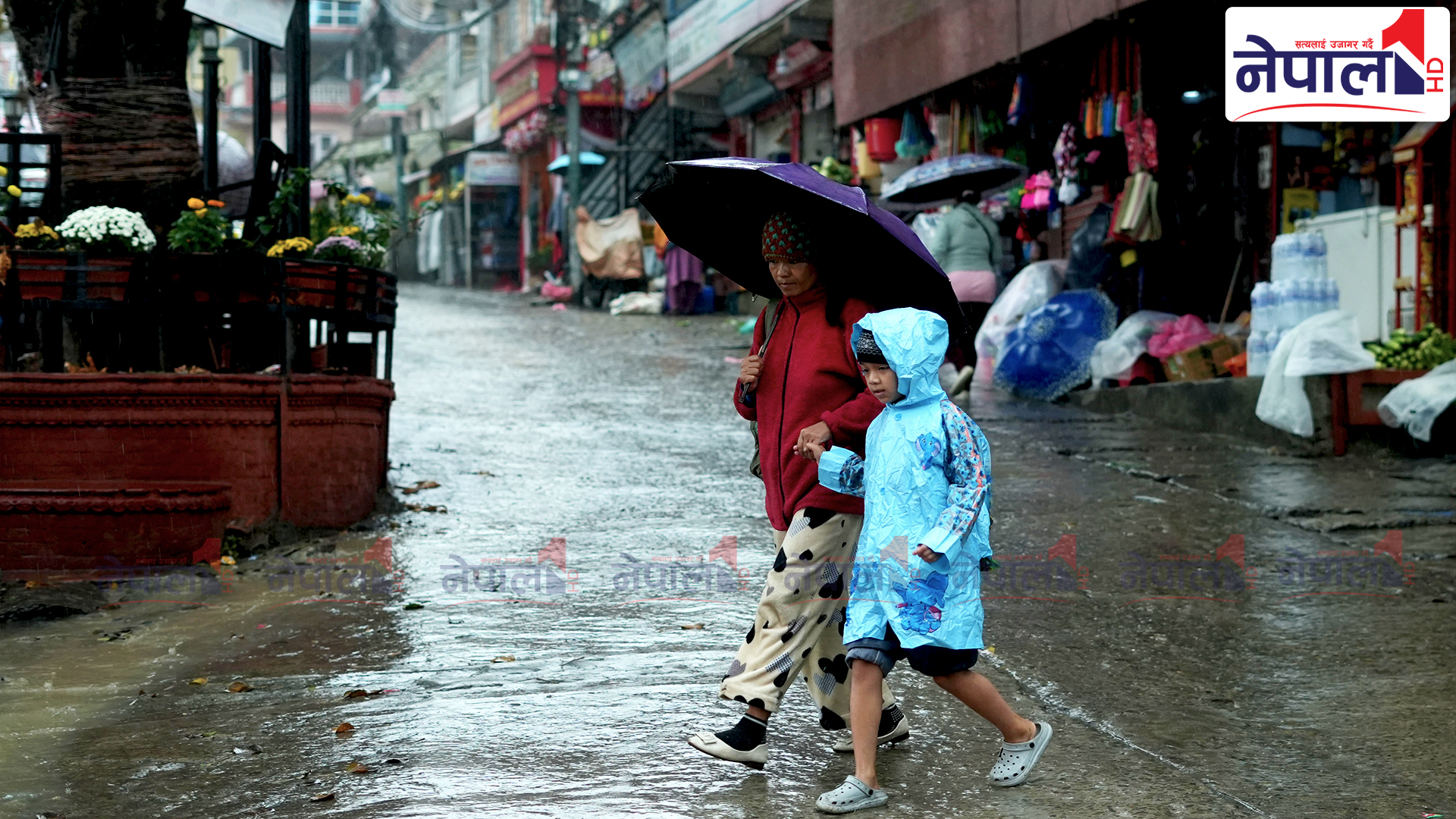काठमाडौं उपत्यकामा बिहानै देखि वर्षा, तस्बिरहरु