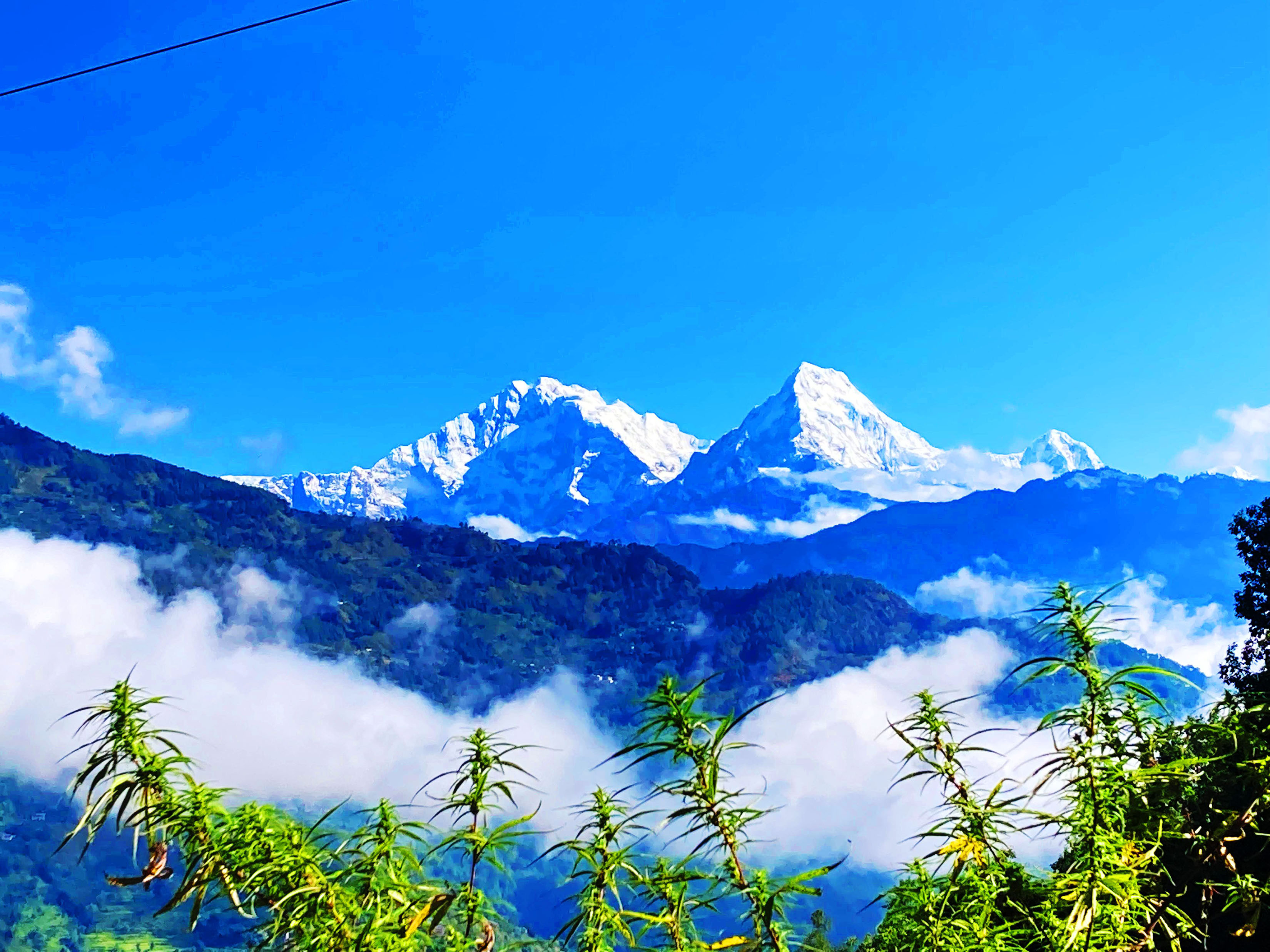 नेपालबाट बाहिरिन थाल्यो मनसुन, यी प्रदेशमा छैन प्रभाव