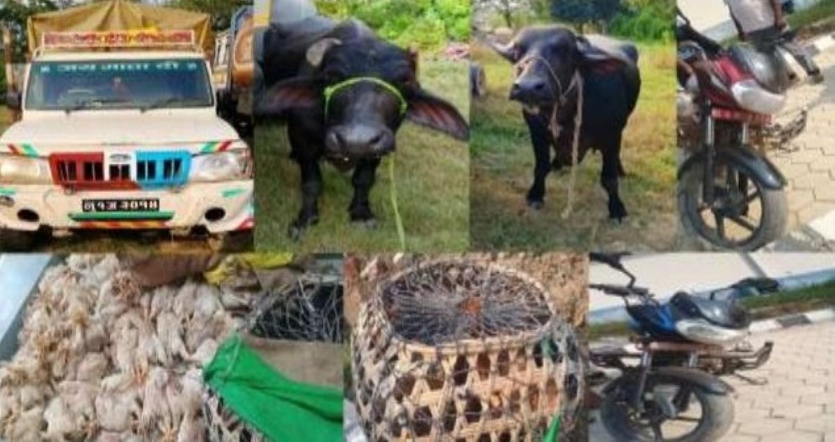 रुपन्देही प्रहरीद्वारा दश लाख मूल्य बढीका सामान बरामद