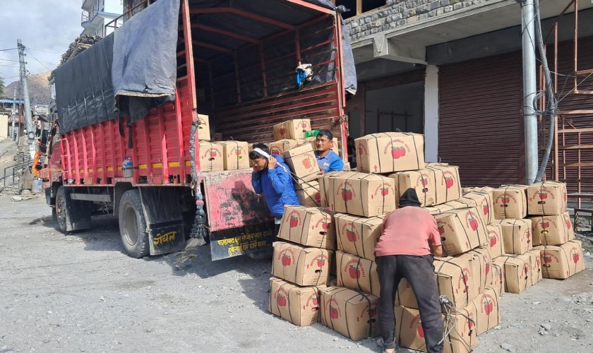 मुस्ताङमा यस वर्ष  एक अर्बभन्दा बढीको स्याउ उत्पादन