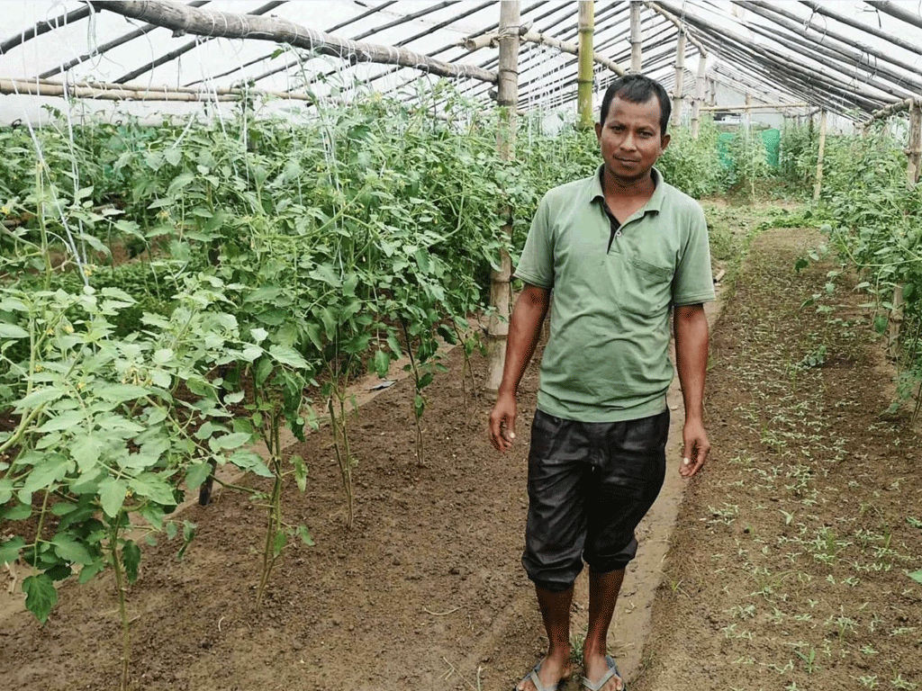 मजदुरदेखि सफल व्यावसायिक किसानसम्म जयप्रकाशको प्रेरणादायी यात्रा