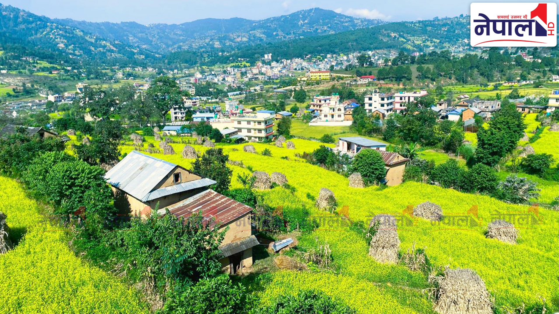 तोरीले पहेंलपुर पर्यटकीय गन्तव्यको सम्भावना बोकेको काभ्रे काफ्लेथोक {तस्वीरहरु}