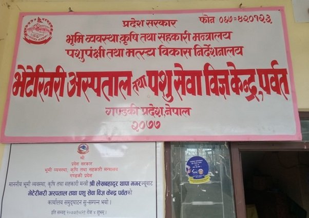 पशुपालक किसानलाई आत्मनिर्भर बनाउन ८० लाख अनुदान
