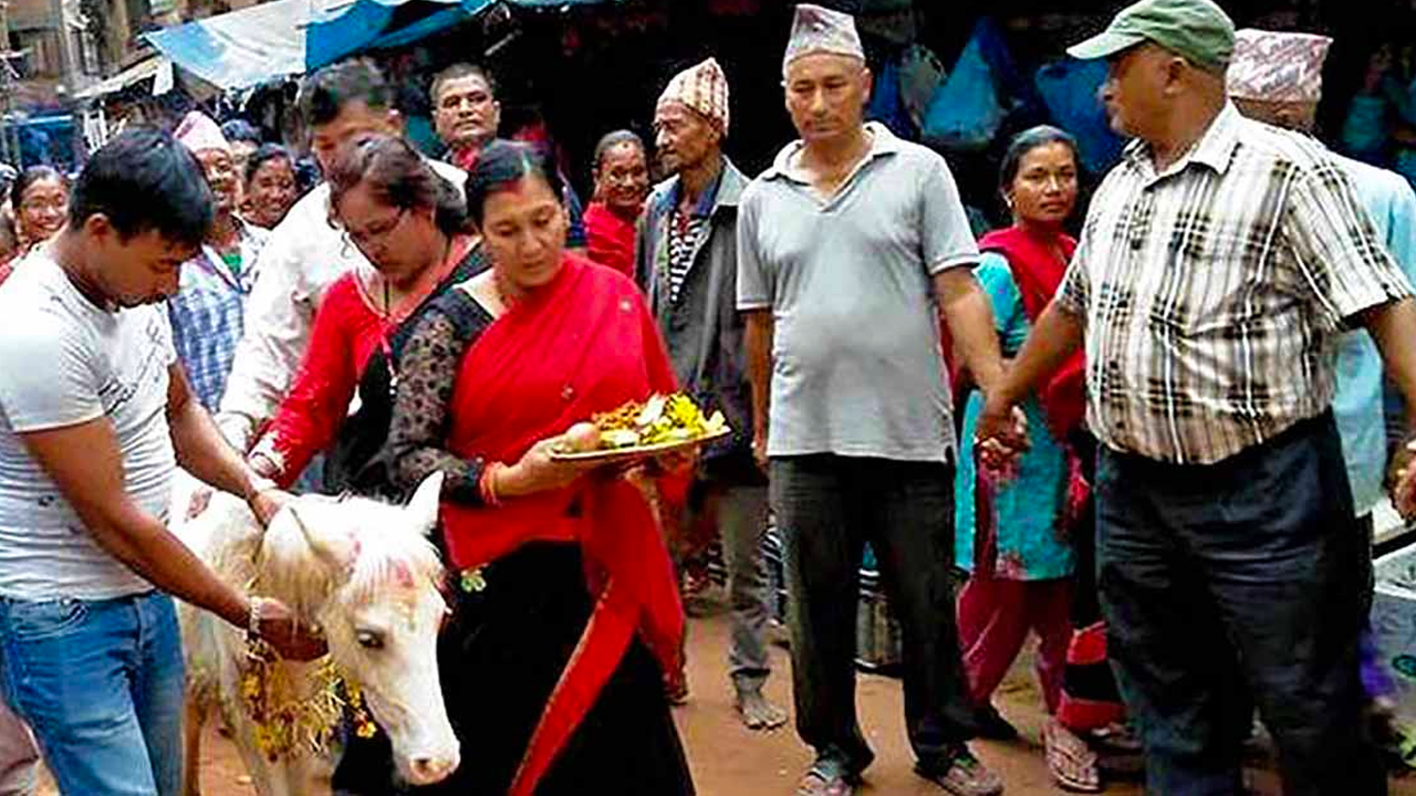 भक्तपुरमा पायःद्यो (खड्ग जात्रा) सहित तलेजुको घोडा जात्रा
