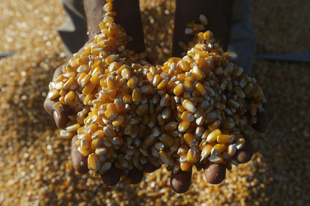 हाइब्रिड’ले निम्तिदै छ सङ्कट