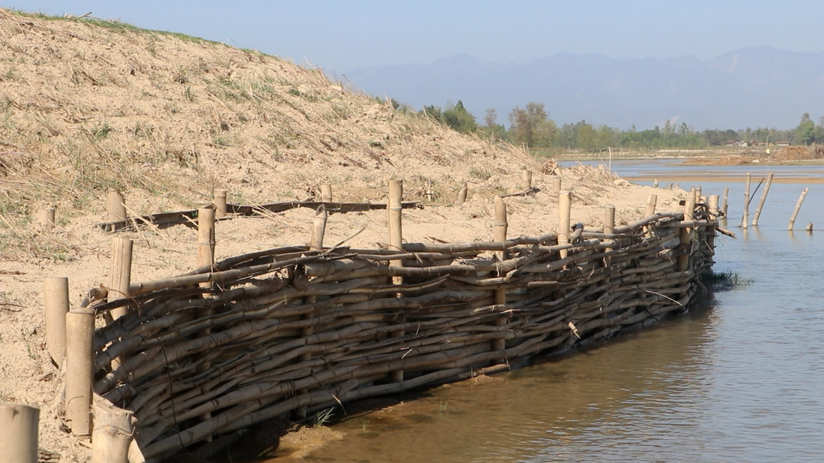 जैविक तटबन्धले जोगिएको बस्ती (तस्बिरहरू)