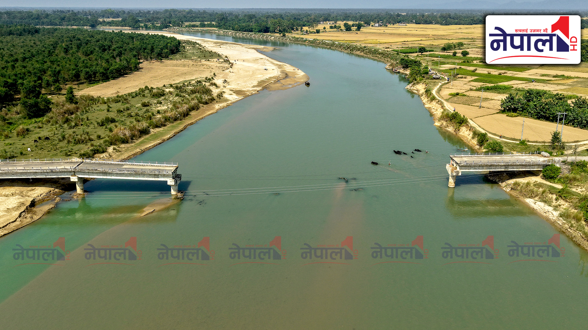 भासिएको ८ वर्षसम्म पनि पुनर्निर्माण हुन सकेन जब्दिघाट पुल (तस्बिरहरु)